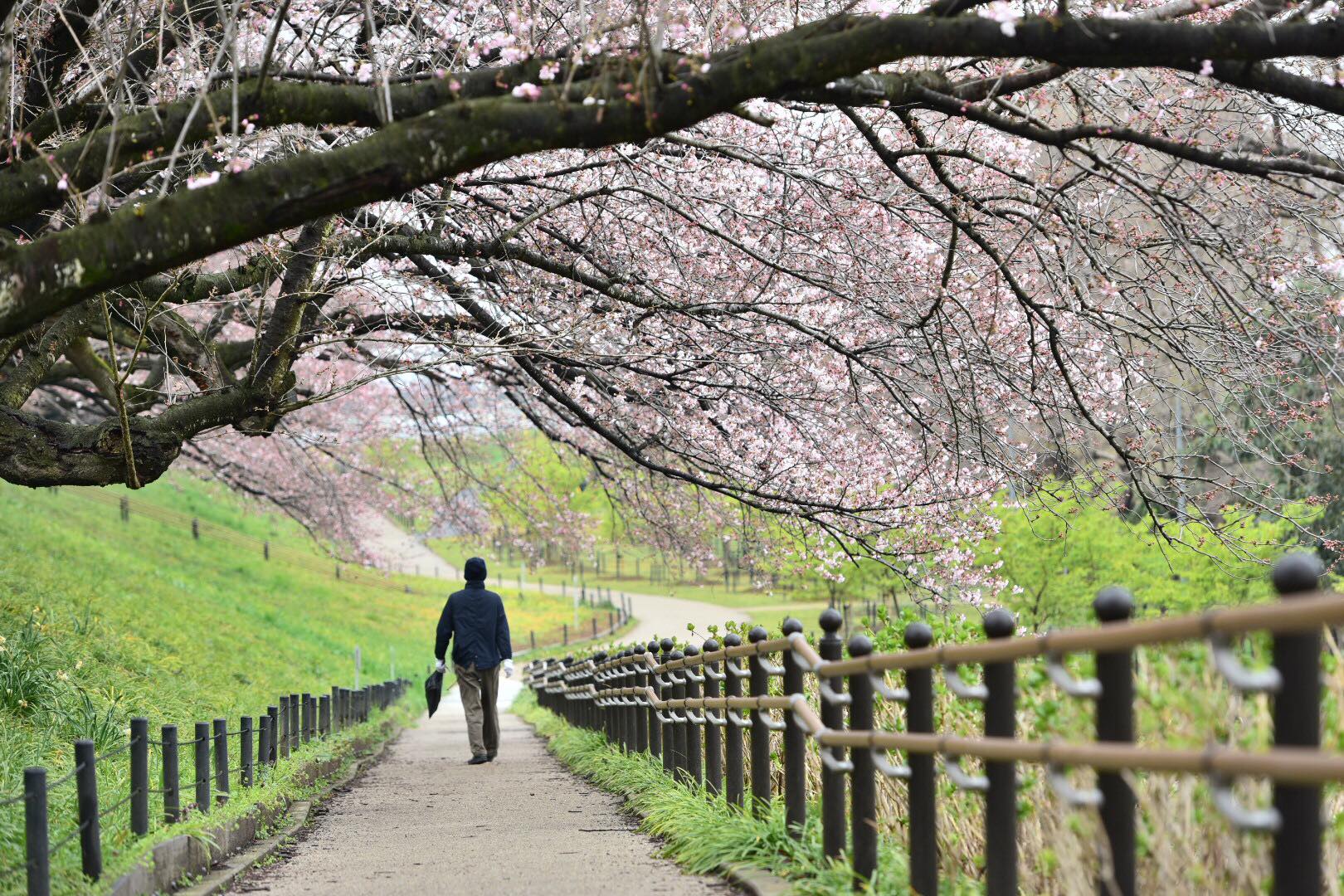 17545318_1619425938097918_8054835592944716966_o