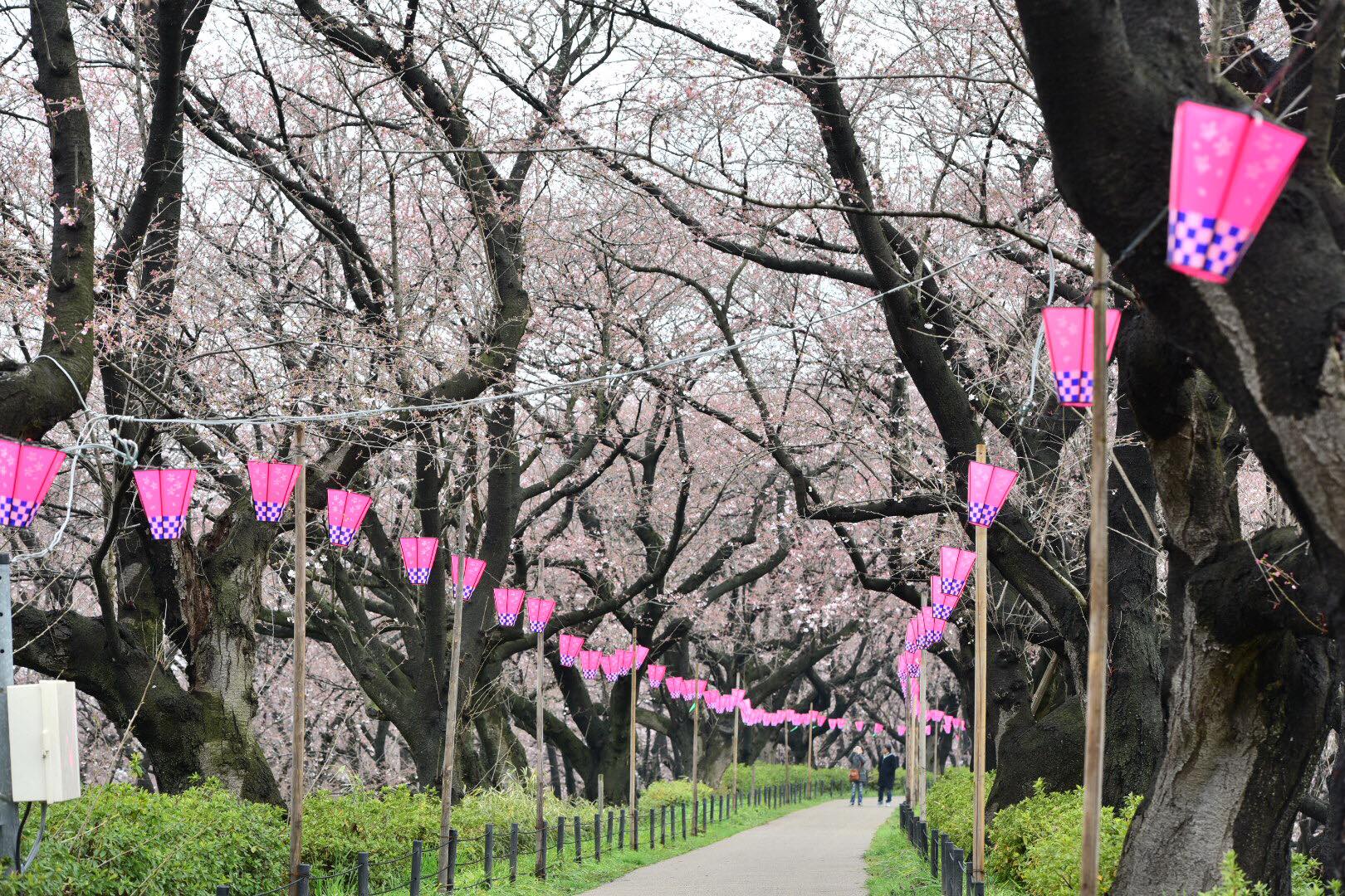 17632481_1619425964764582_3912292026518892532_o