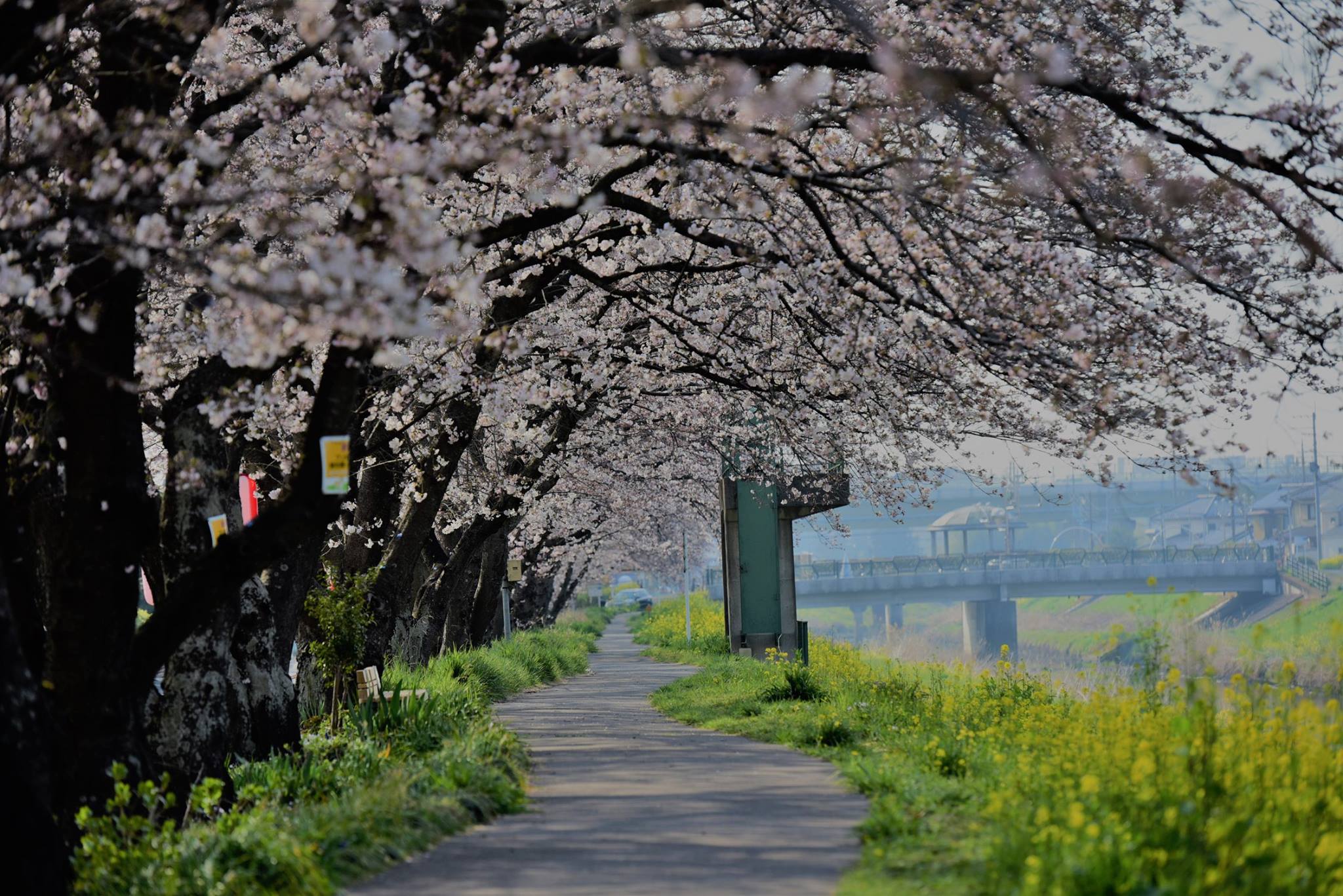 17991350_1778184185843905_8827561860275636098_o