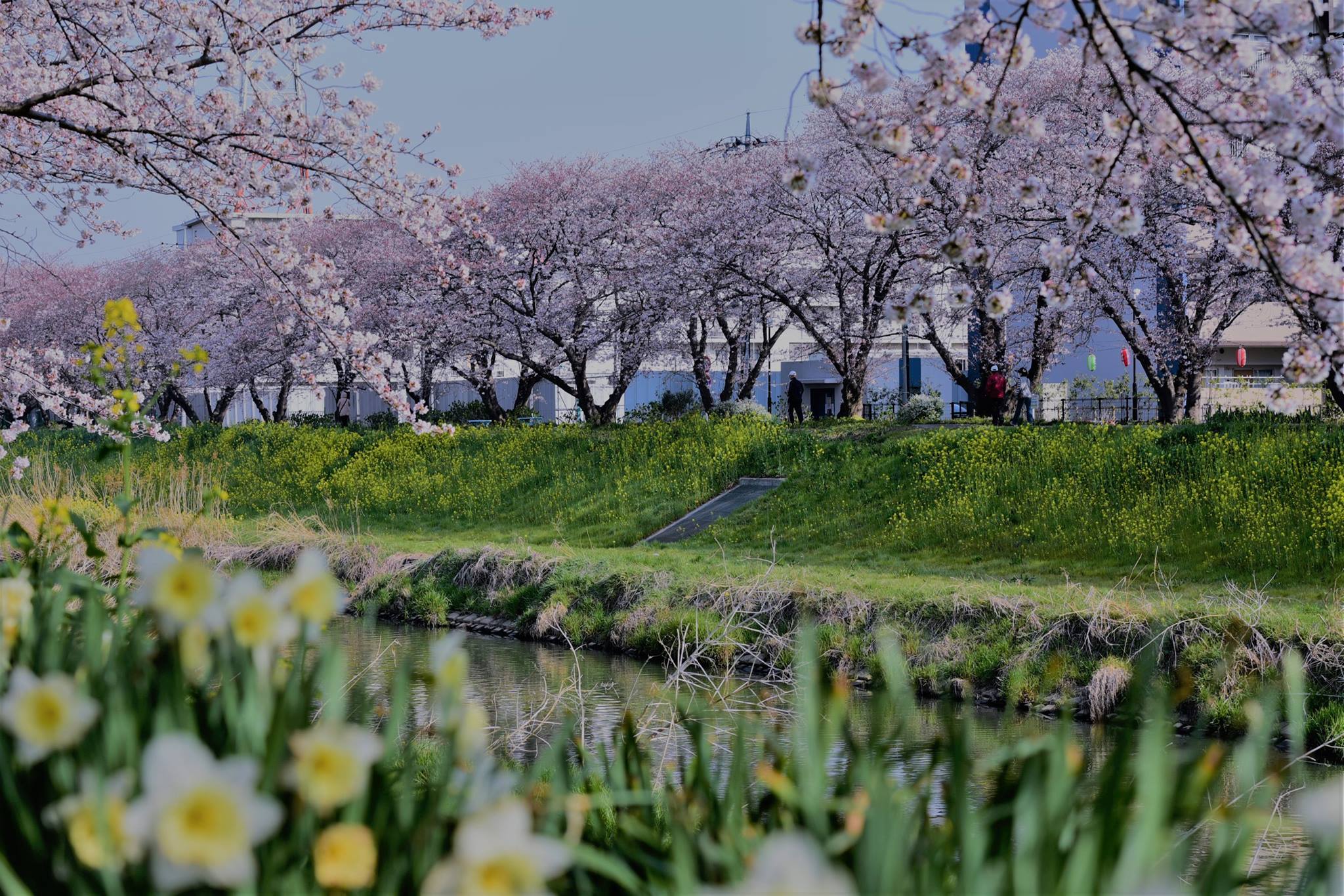 18077036_1778184542510536_8469082207714823423_o