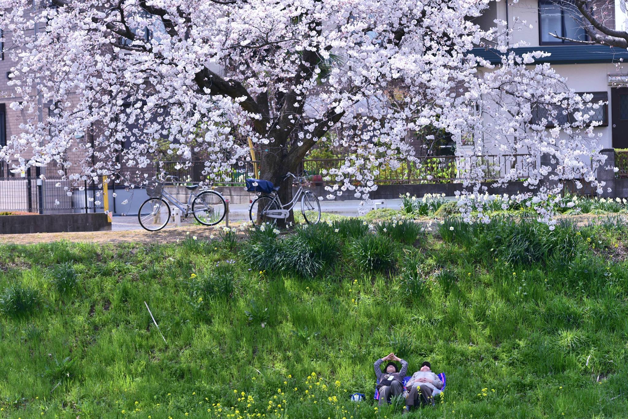 18077229_1778183842510606_8871383834140970347_o