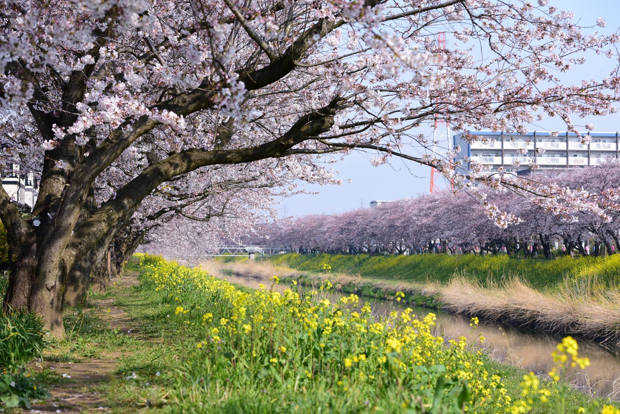 18121155_1778184522510538_7116260776708196955_o