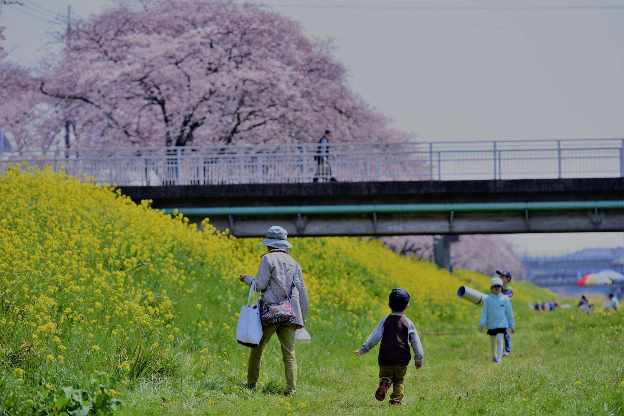 18121319_1778183822510608_6160092359463719036_o