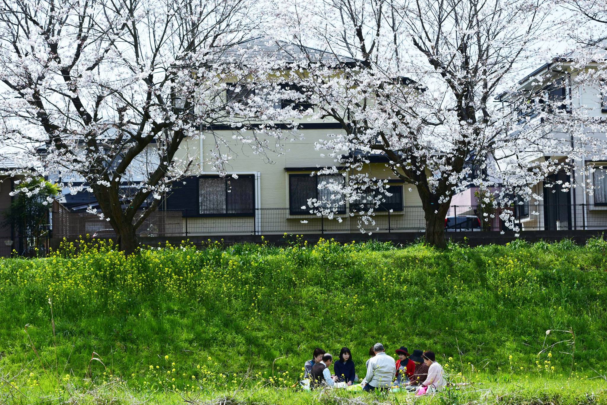 18121401_1778183959177261_6805617821618679903_o