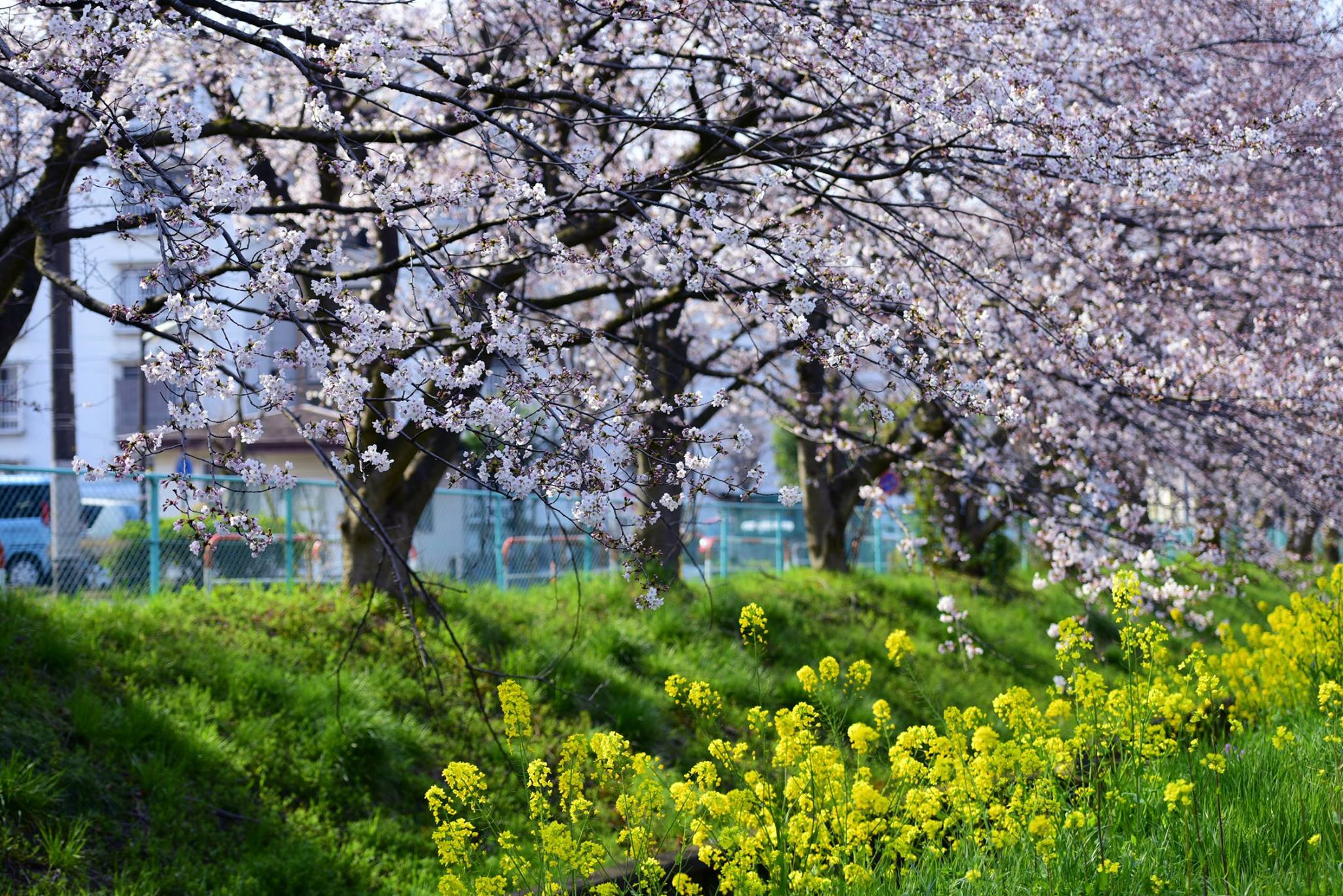 18121509_1778183795843944_4149930111464208491_o