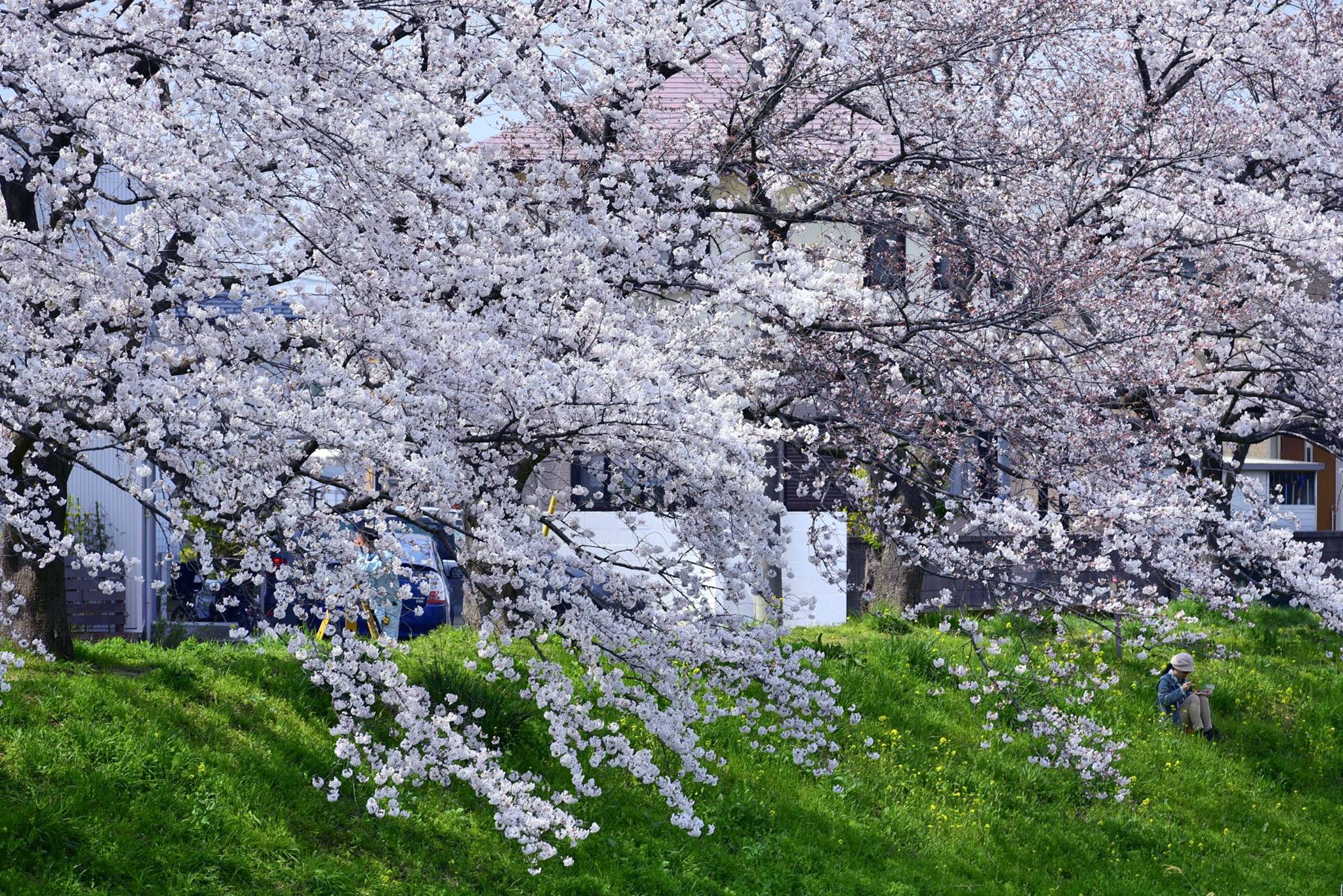 18155940_1778183819177275_571732088747634306_o