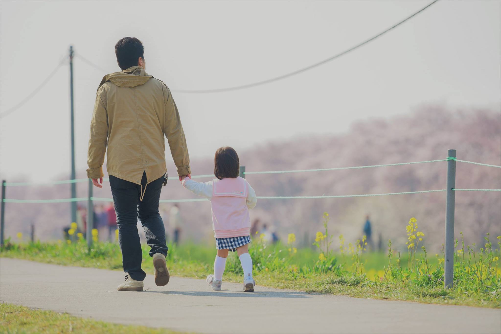 18193094_1782419335420390_456414461065697097_o