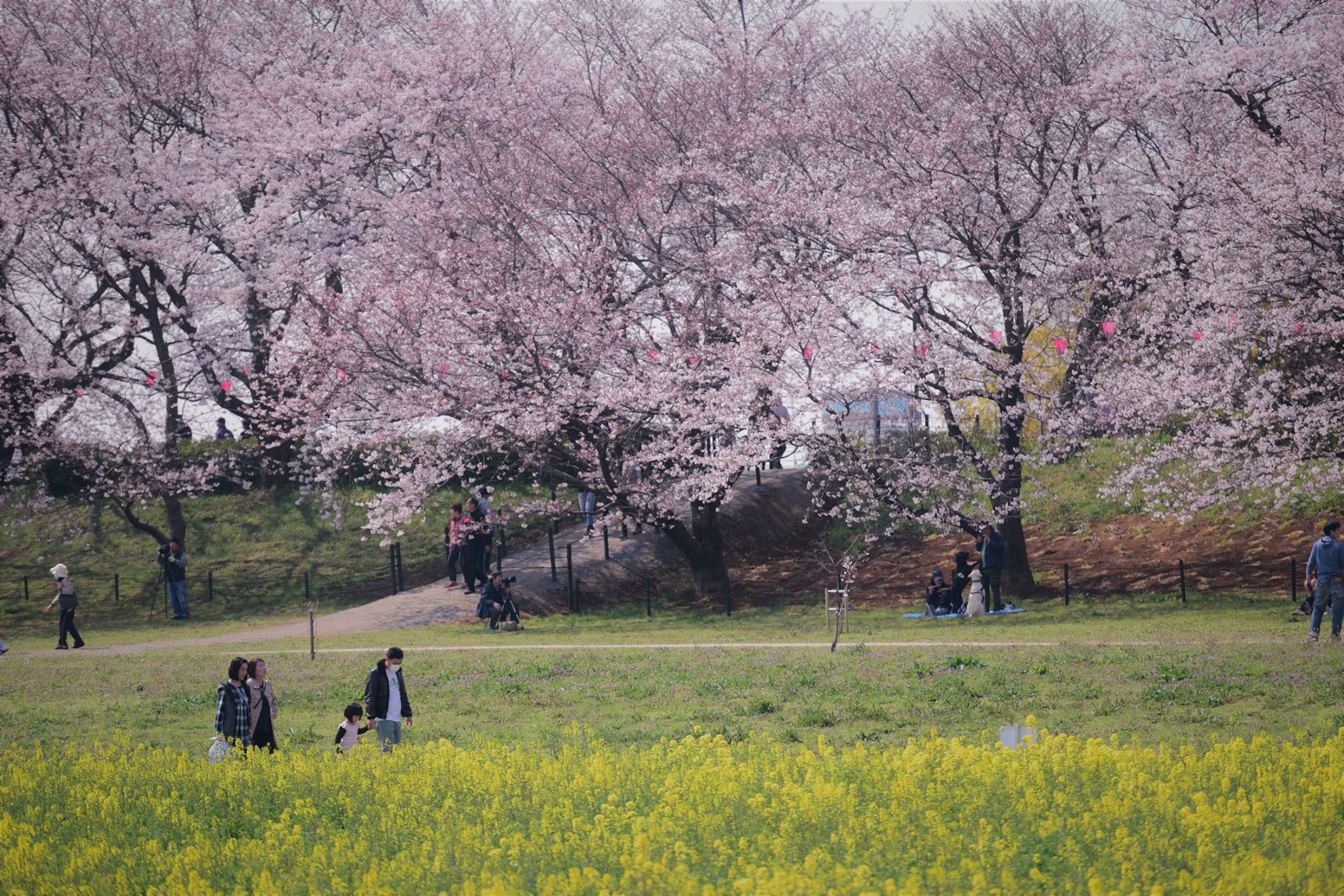 18193372_1782418908753766_1956332774440944216_o