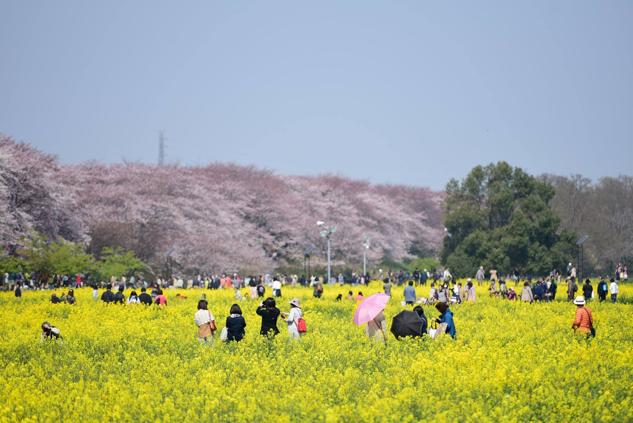 18216445_1782418862087104_5182650478864938350_o