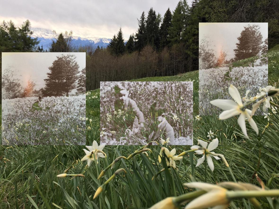 18422146_1242759172488777_6869470227645952050_o