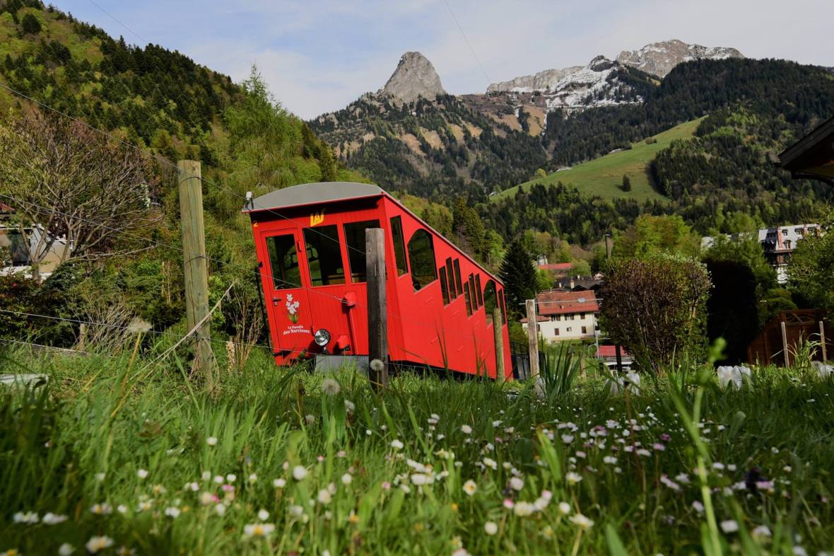 18425436_1789110808084576_8603483157292914753_n