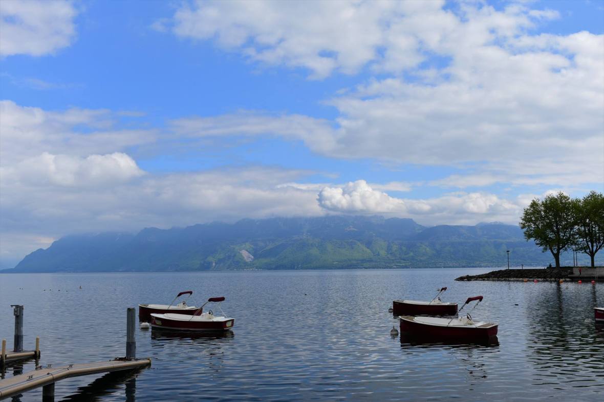 18451505_1790086067987050_8119710248168500968_o