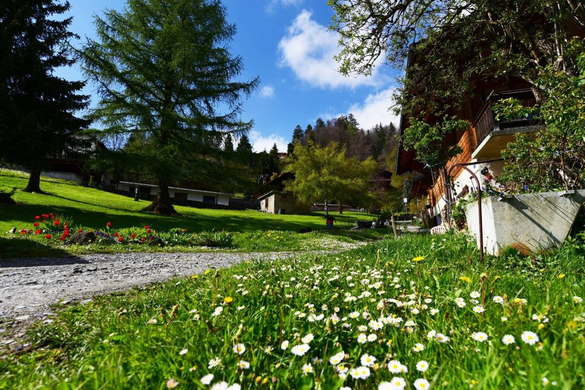 18451533_1790110254651298_1608038958321715878_o