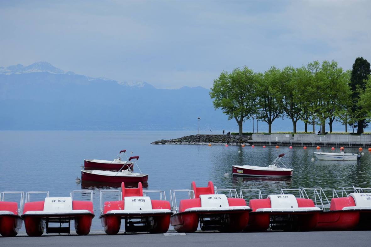 18451545_1790120277983629_4455852313804757477_o