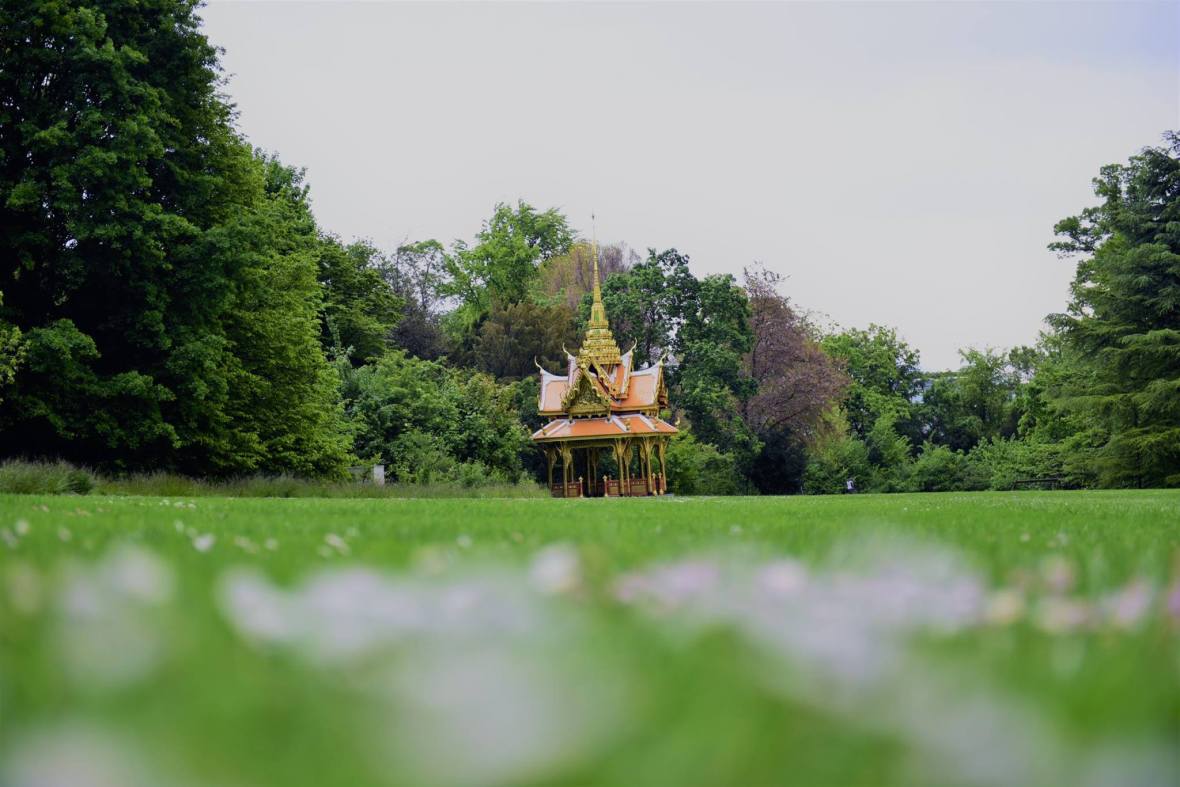 18451794_1790120301316960_786997109914486848_o