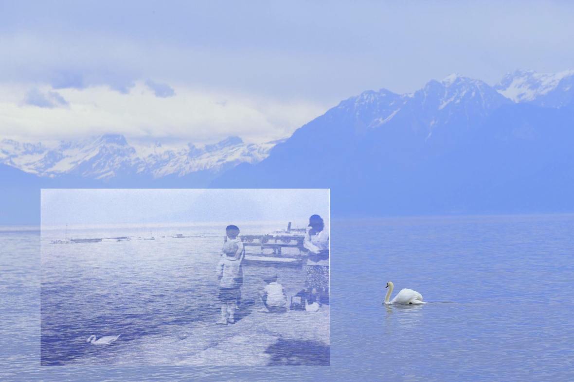 18489932_1790184061310584_5959514393939961308_o