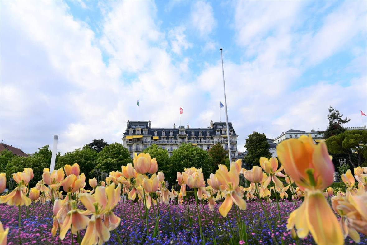 18491361_1790086224653701_5113582829500895734_o