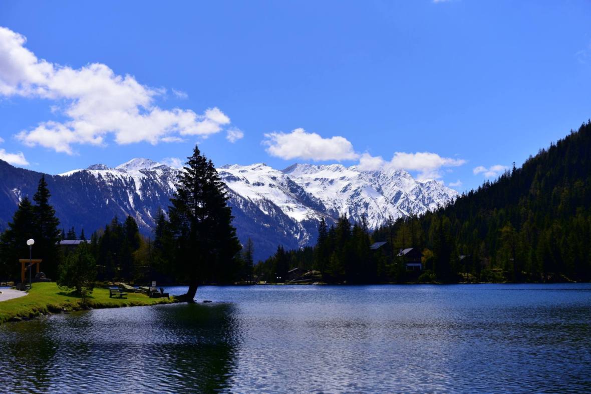 18491538_1790084581320532_7254888527034907622_o