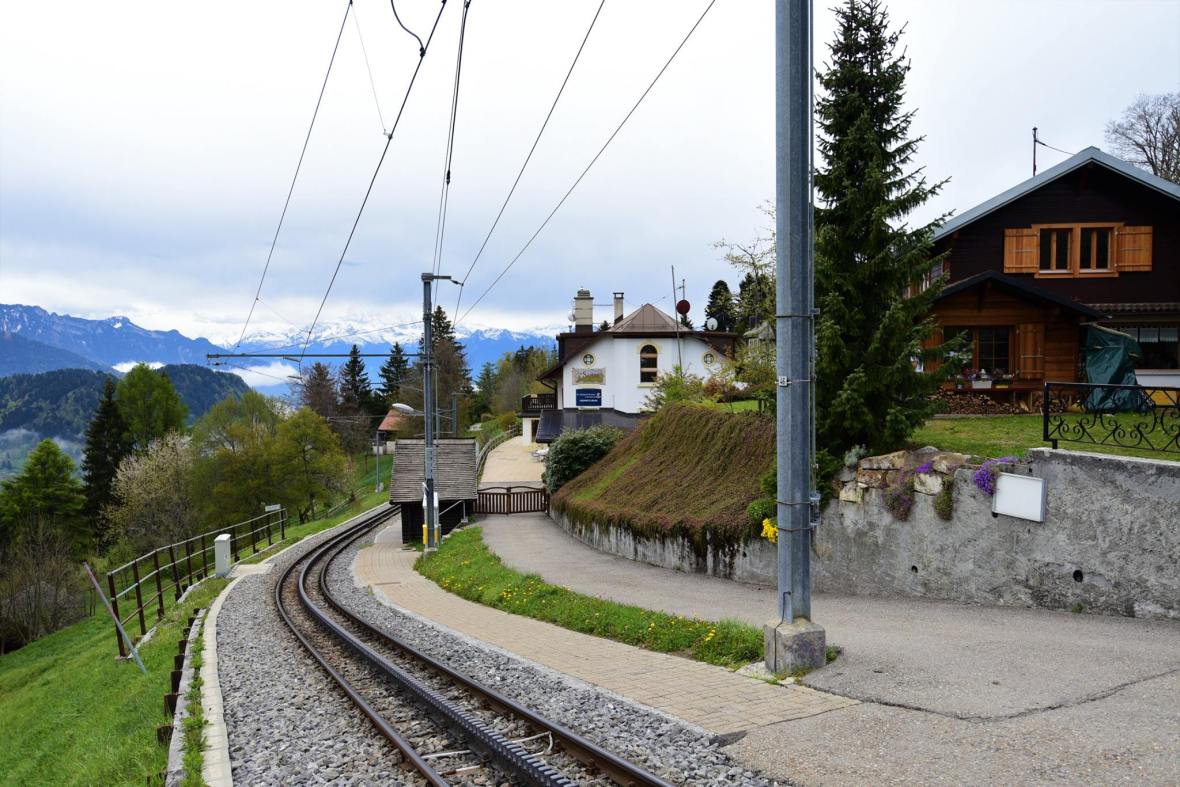 18491630_1790117917983865_1718762204655288463_o