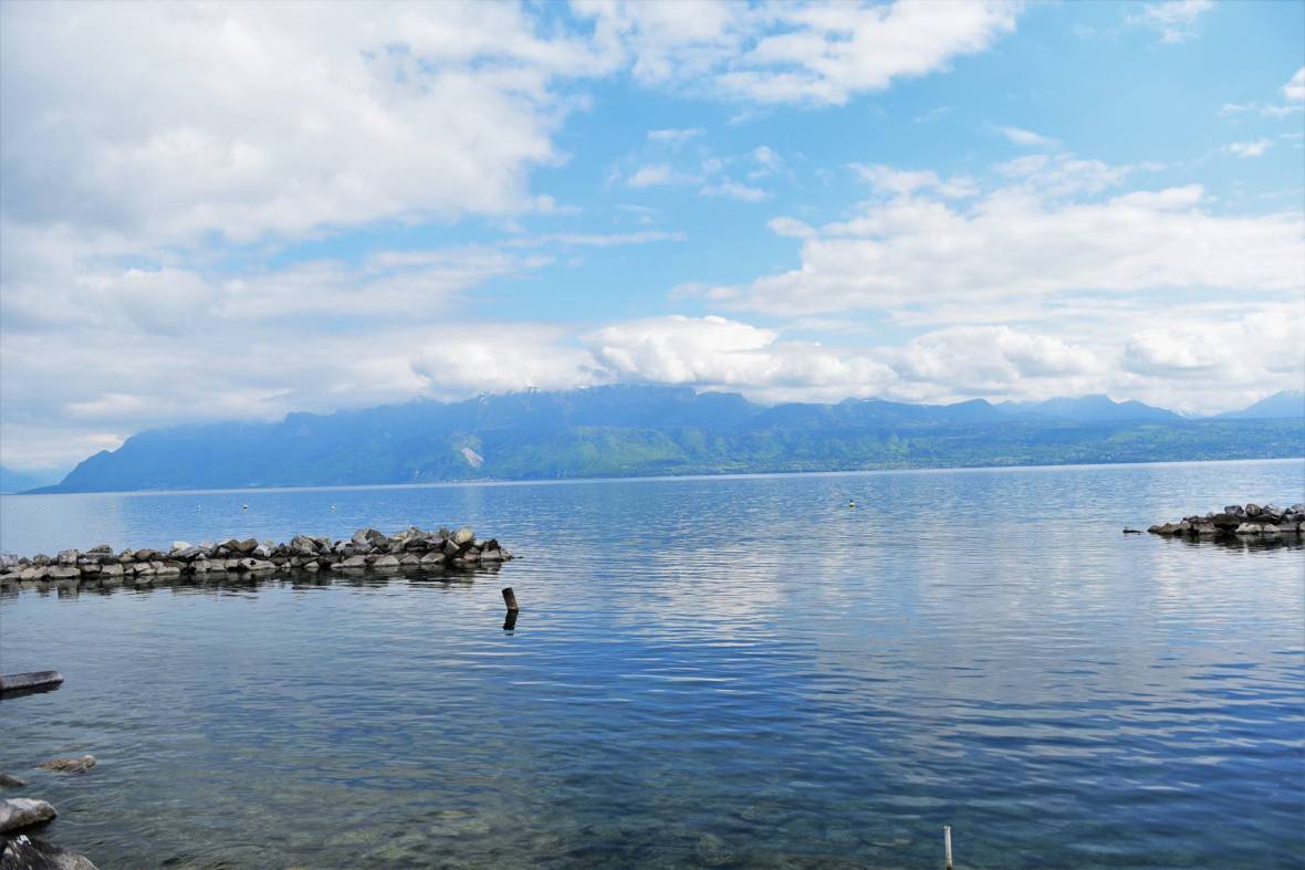 18491672_1790086111320379_1740838906635200371_o