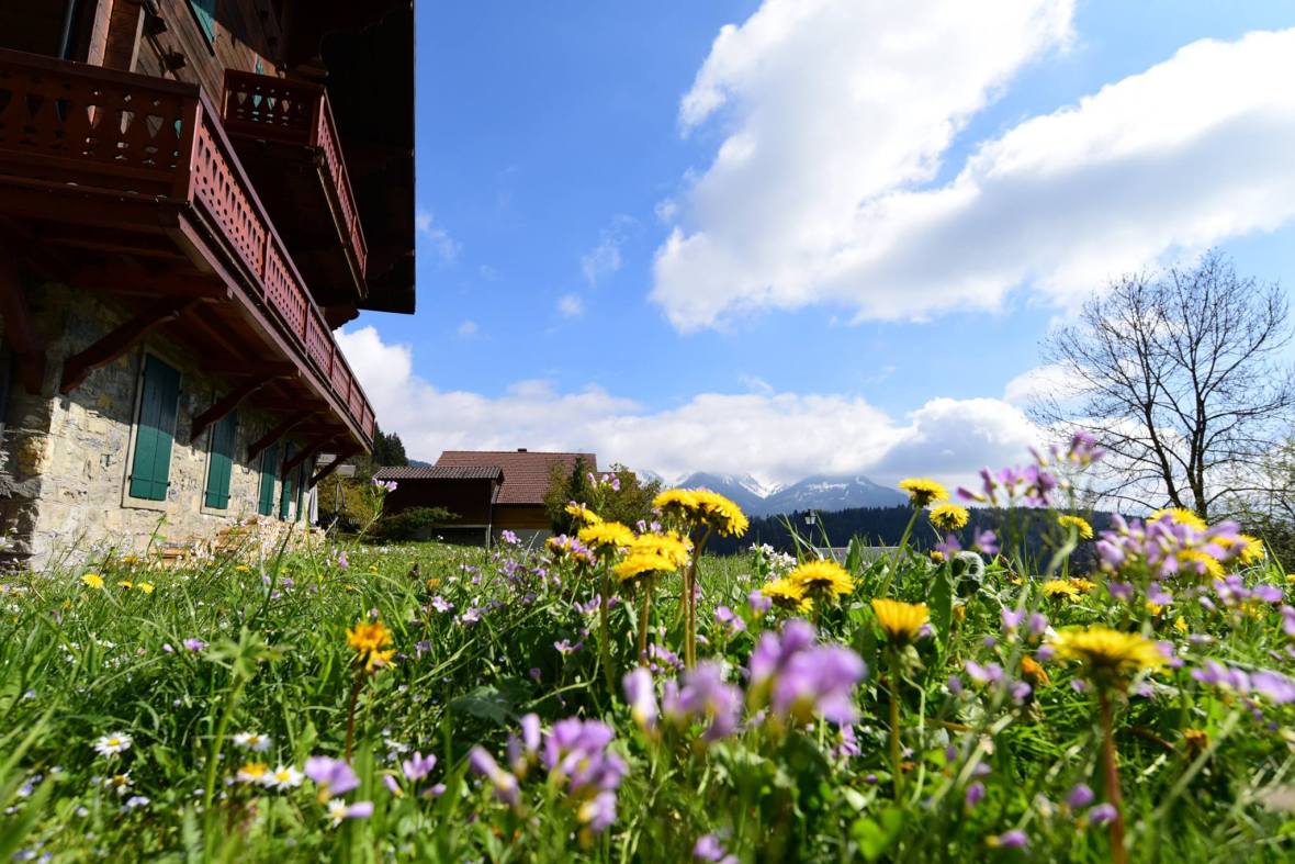 18491692_1790110147984642_3846392356833434000_o