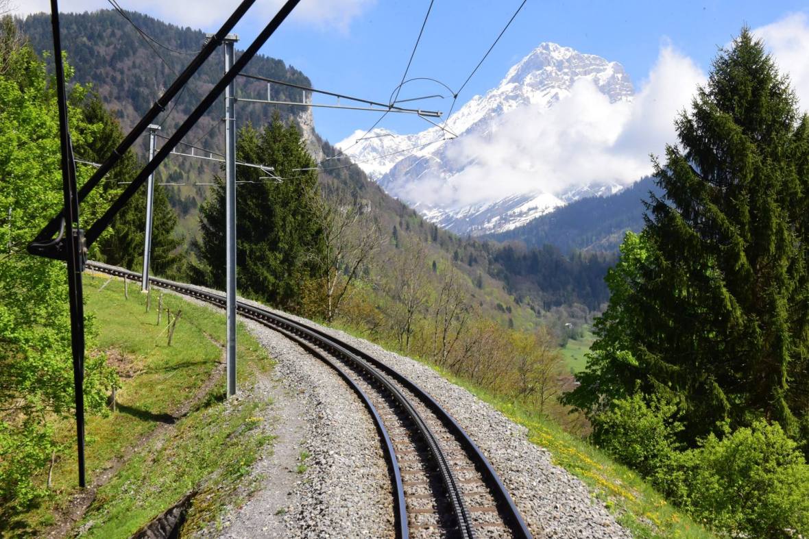 18518045_1790110454651278_2665521660111563757_o