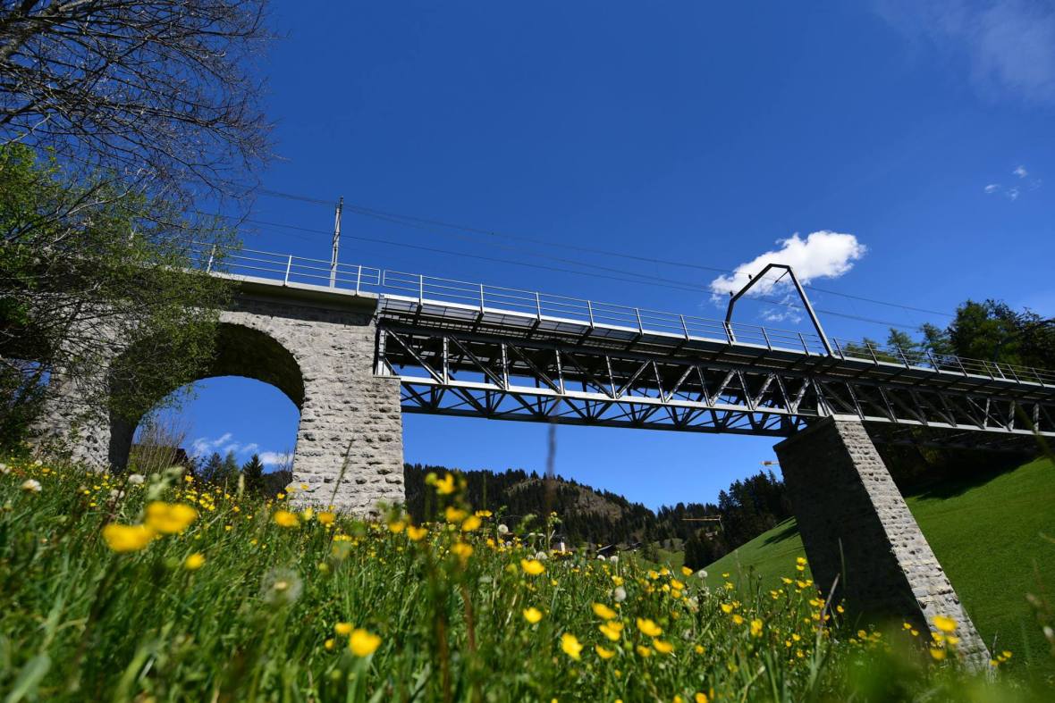 18518224_1790115014650822_2629478343832911942_o