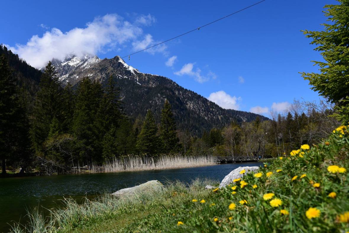 18518360_1790084771320513_5140173481852862920_o