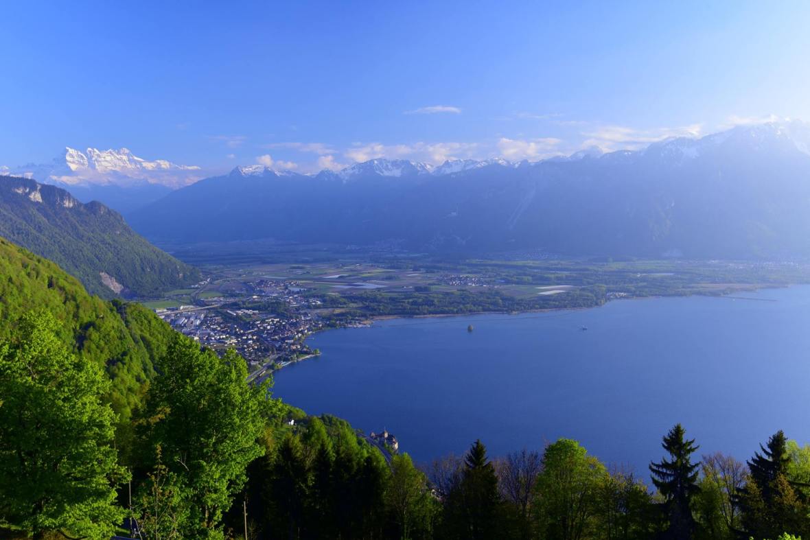 18527458_1790111261317864_7737130878568908572_o