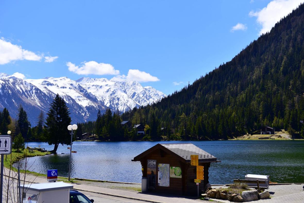 18556506_1790084644653859_7742061073407390449_o