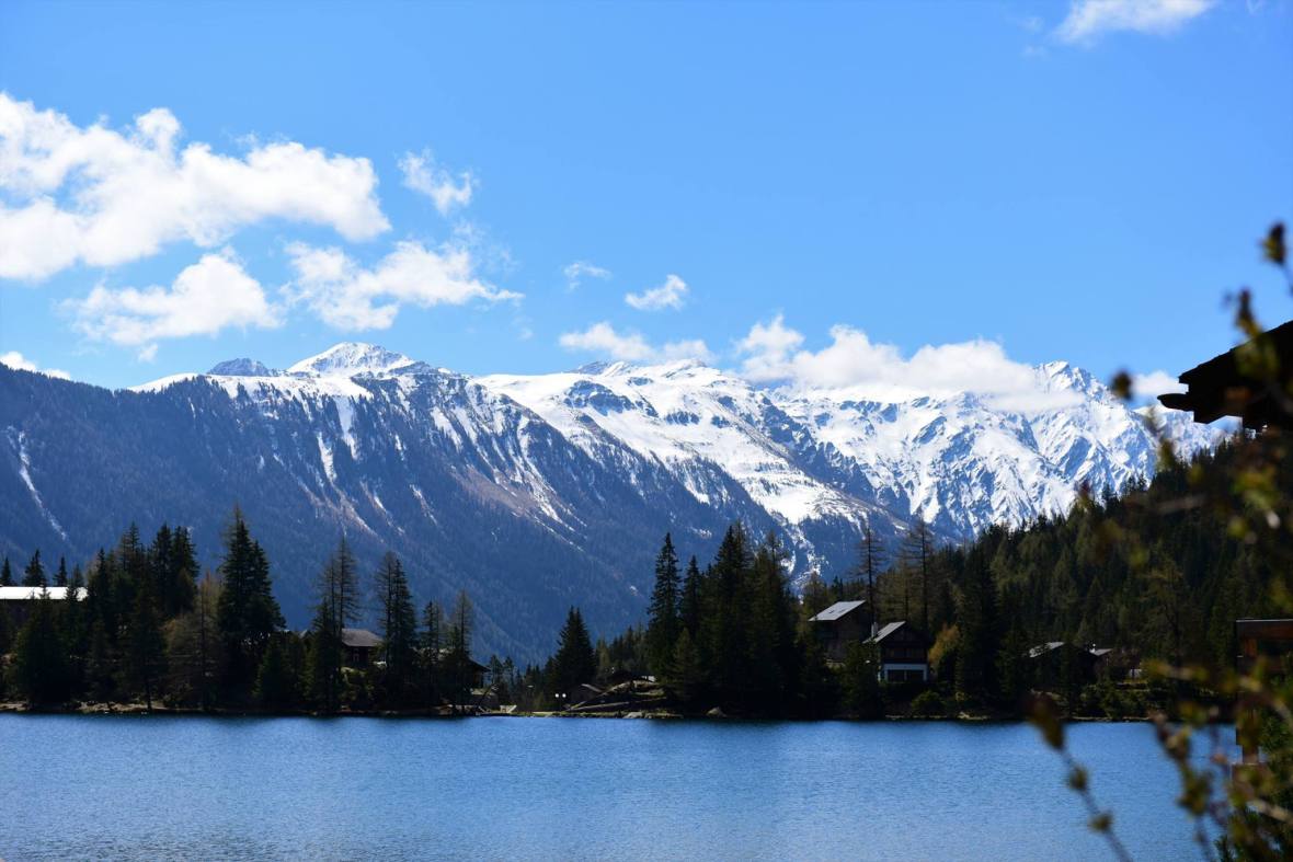 18556534_1790084474653876_516617869303115304_o