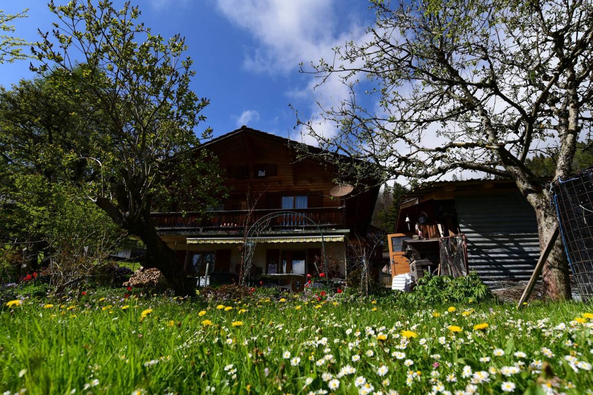 18556661_1790110264651297_5997983078000653798_o