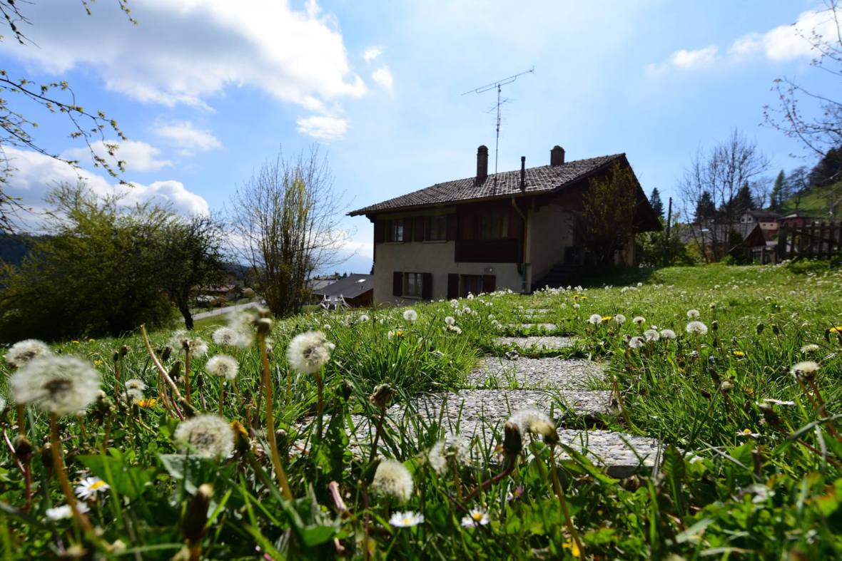 18556782_1790110177984639_1587000371393174081_o