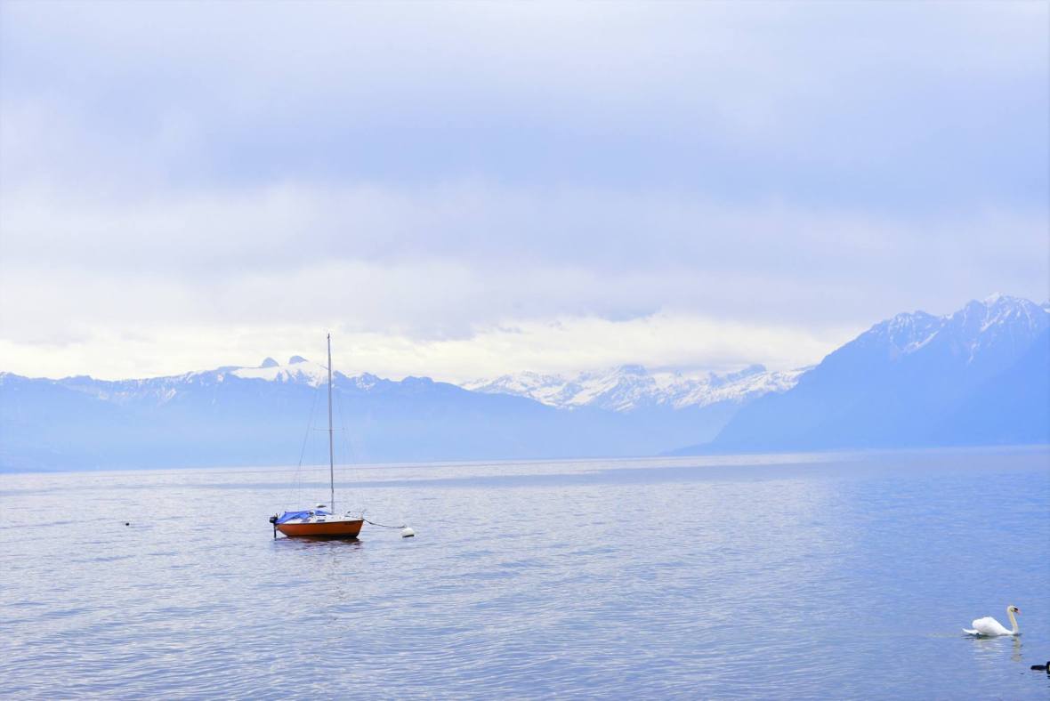 18558586_1792803941048596_337973526747397540_o