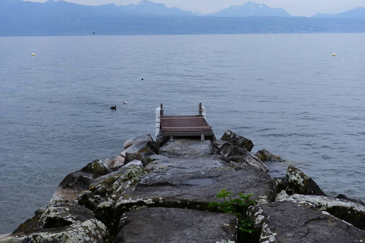 18558609_1792803924381931_1817812825280891637_o