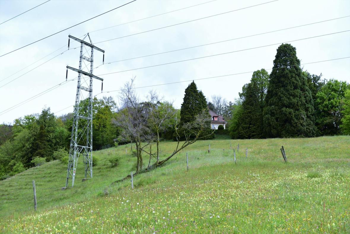 18595278_1790112817984375_1745197844285029553_o