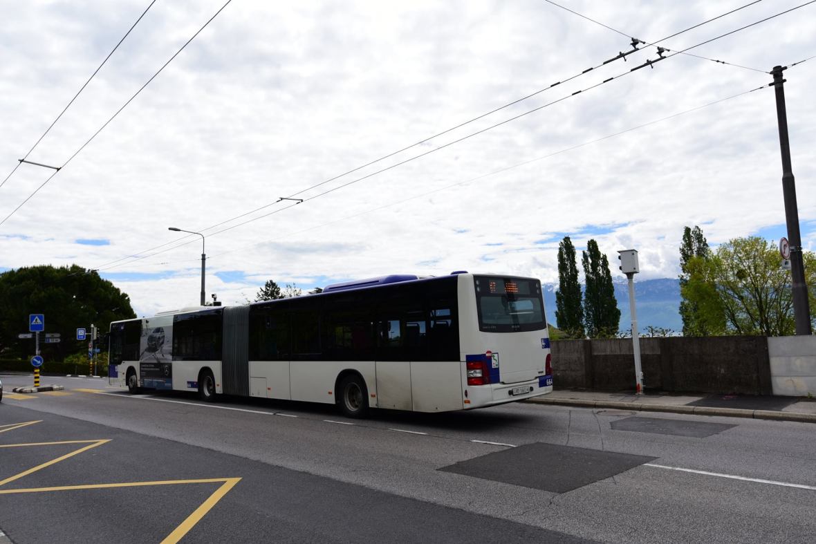 18595494_1792804354381888_1699567775092162416_o