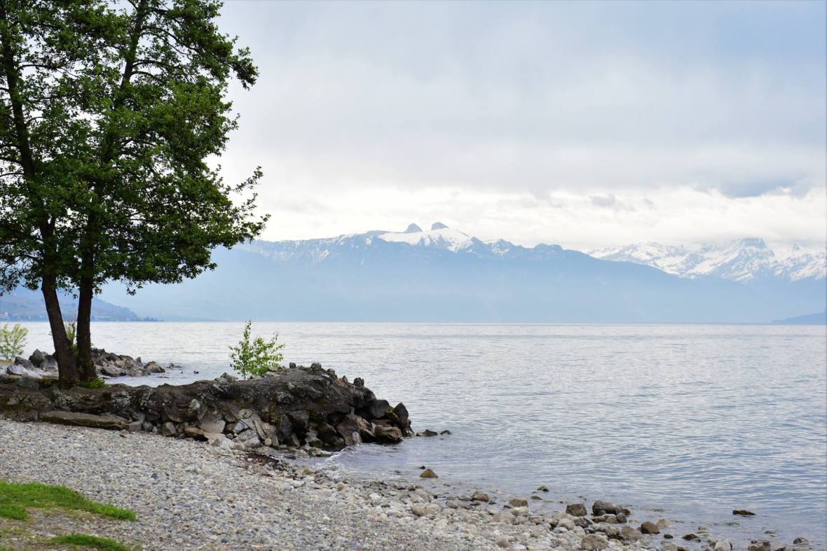 18595625_1792803884381935_1428974655057546621_o