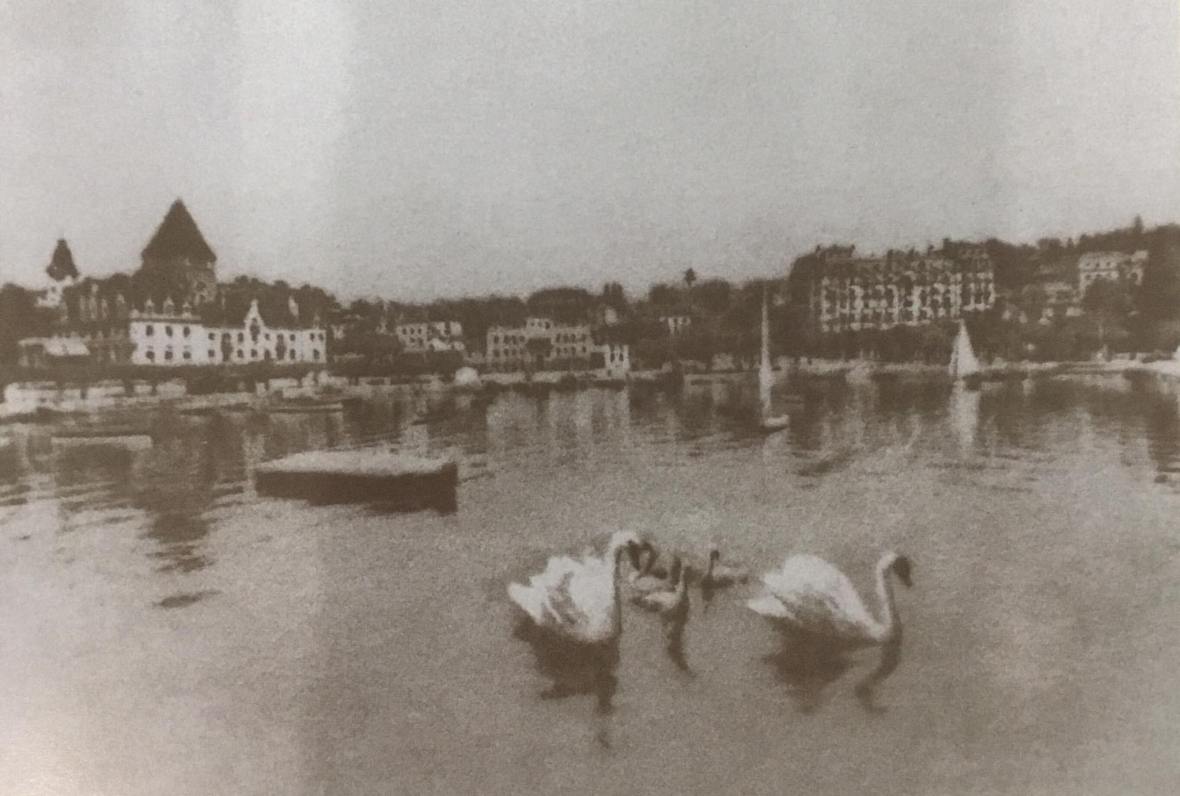 18623456_1792807737714883_6956322852859839372_o