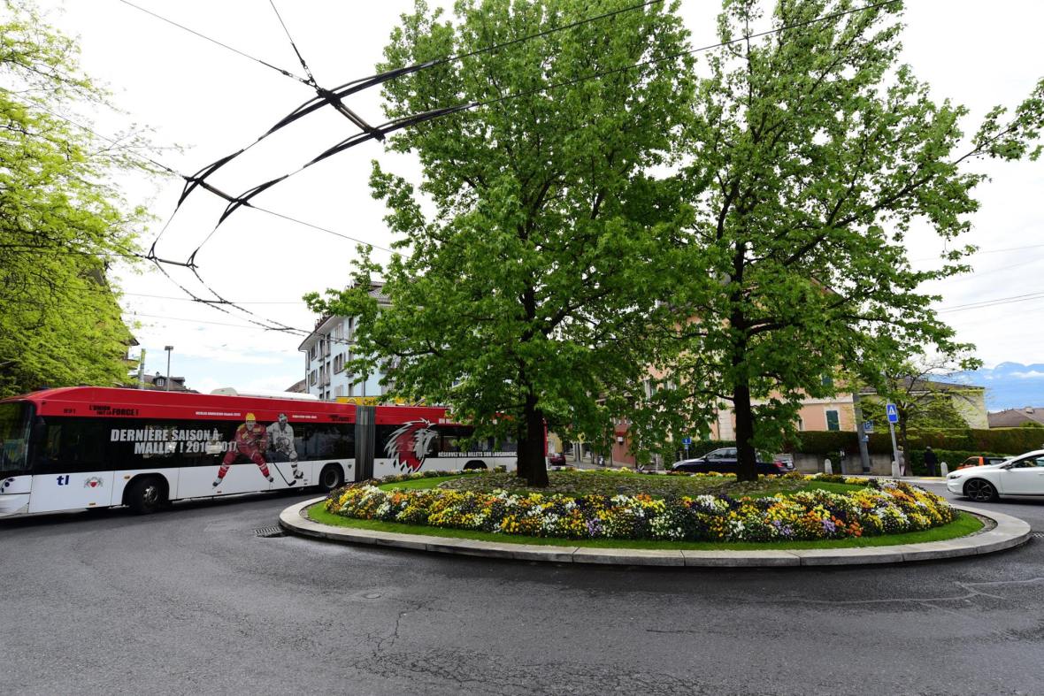 18671767_1792804007715256_2650383305187042845_o