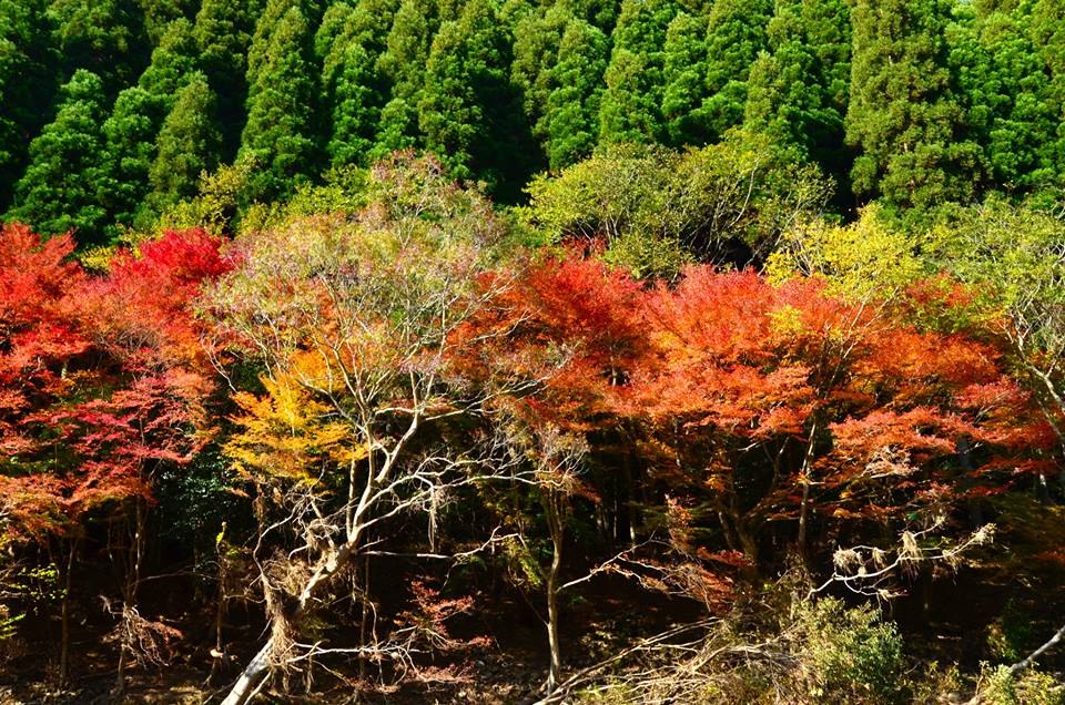 1433144518-1116946514-o