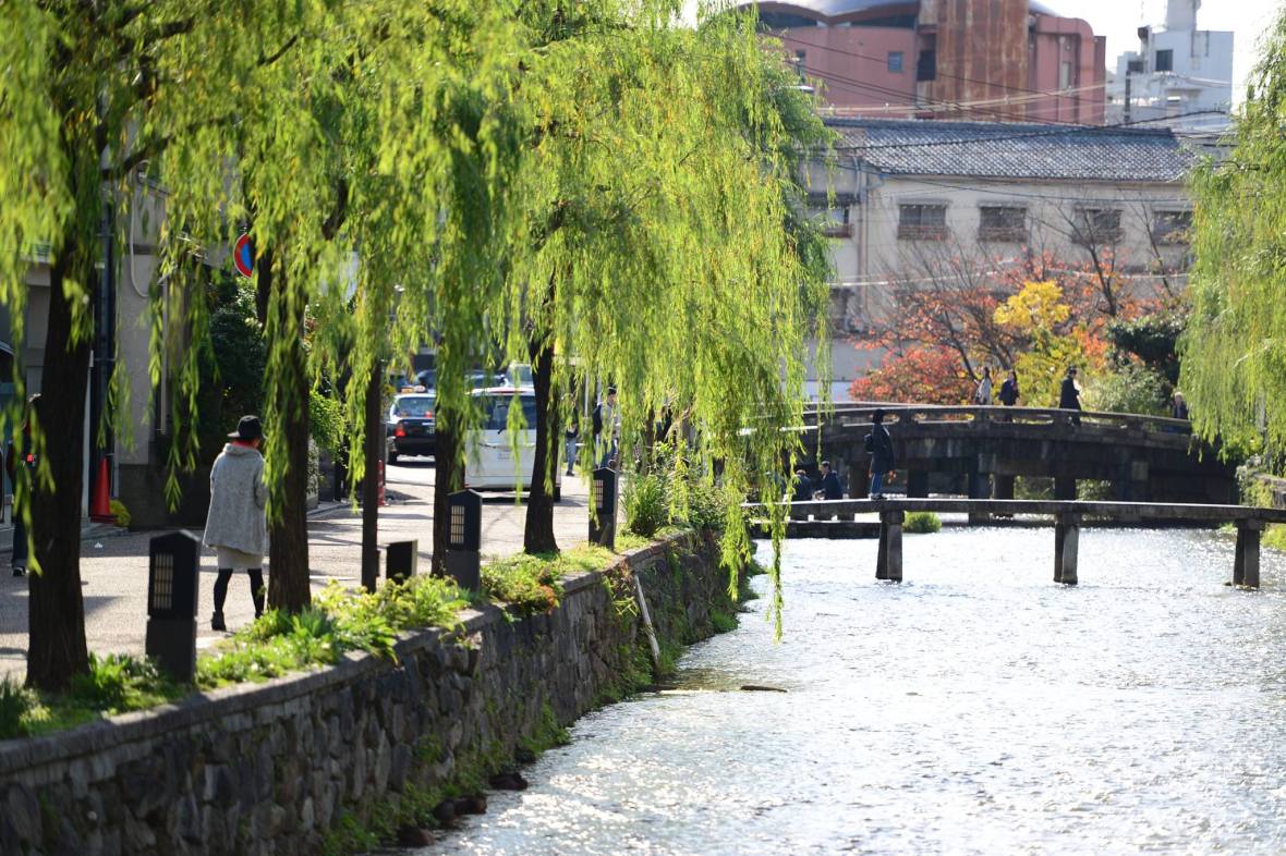 16402689_1734025306926460_865108142980002525_o