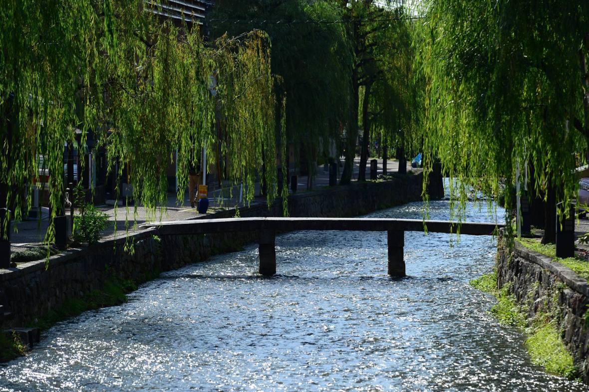 16403187_1734025886926402_5820913188824873867_o