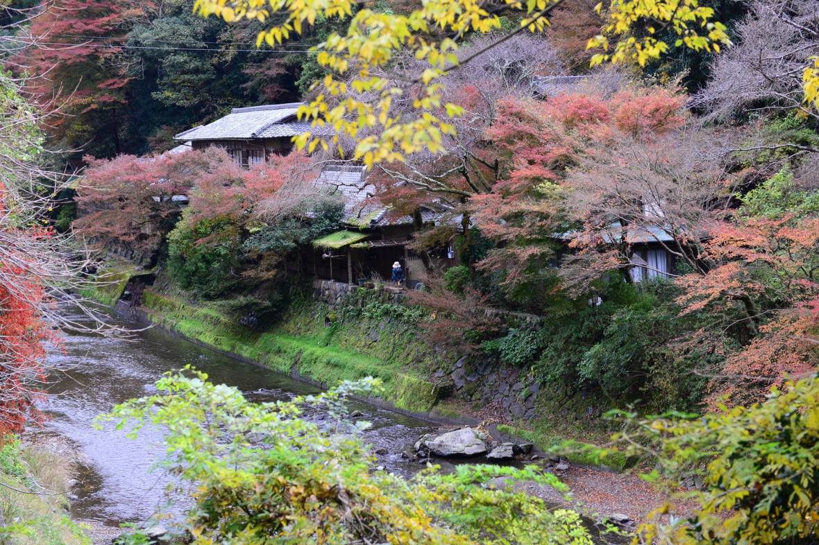 16403378_1734643686864622_8810416225510377795_o