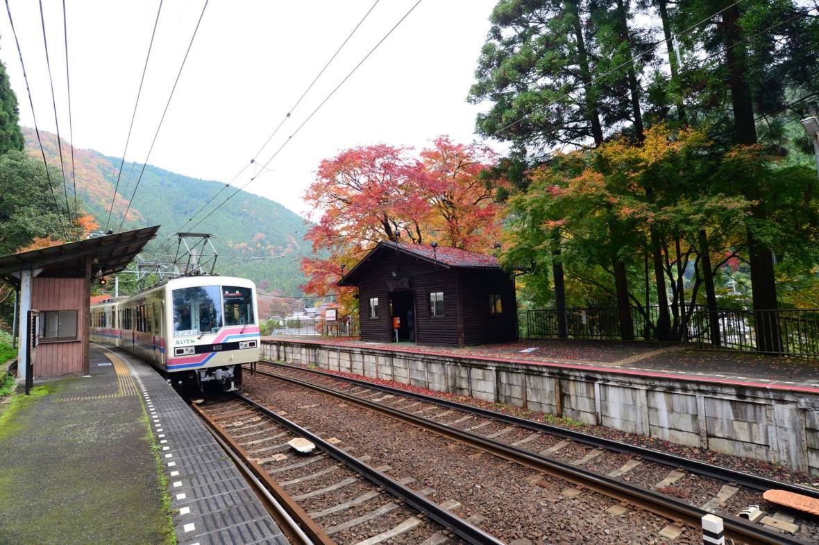 16422234_1734026046926386_1907906084293311376_o