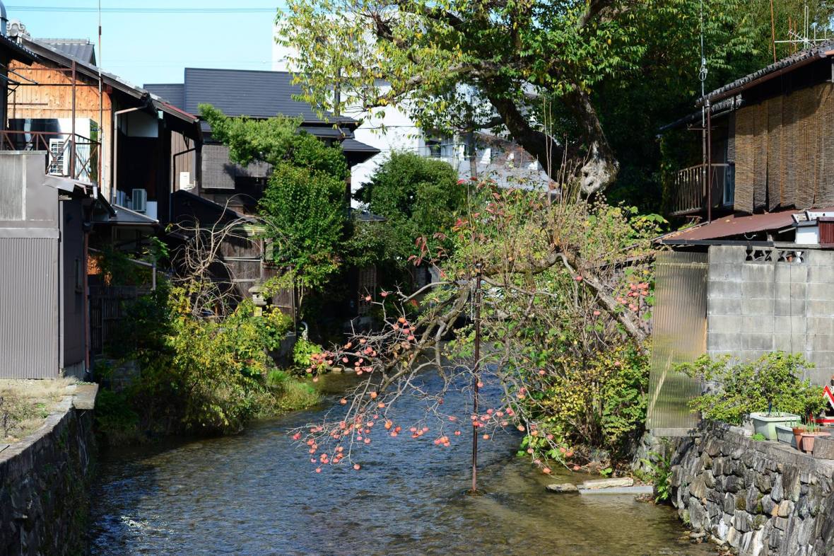 16422278_1734025176926473_8034214835333427157_o