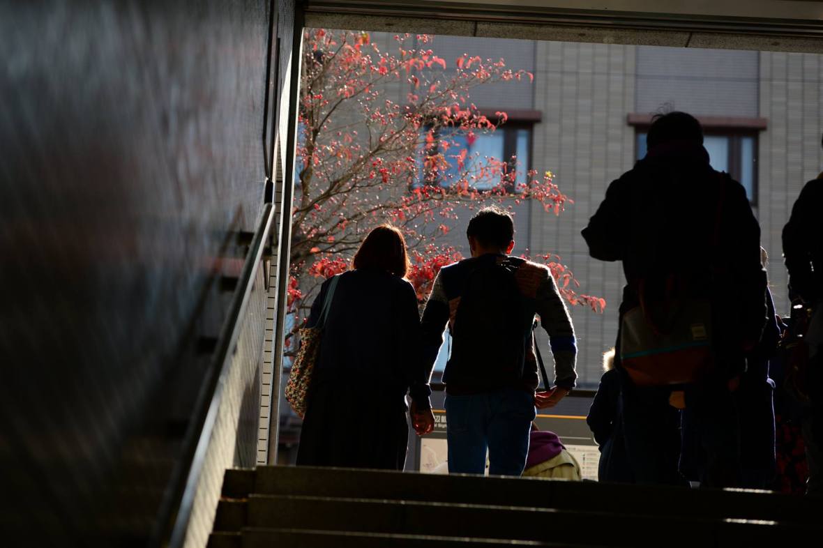 16422886_1734025153593142_5227600387254290758_o