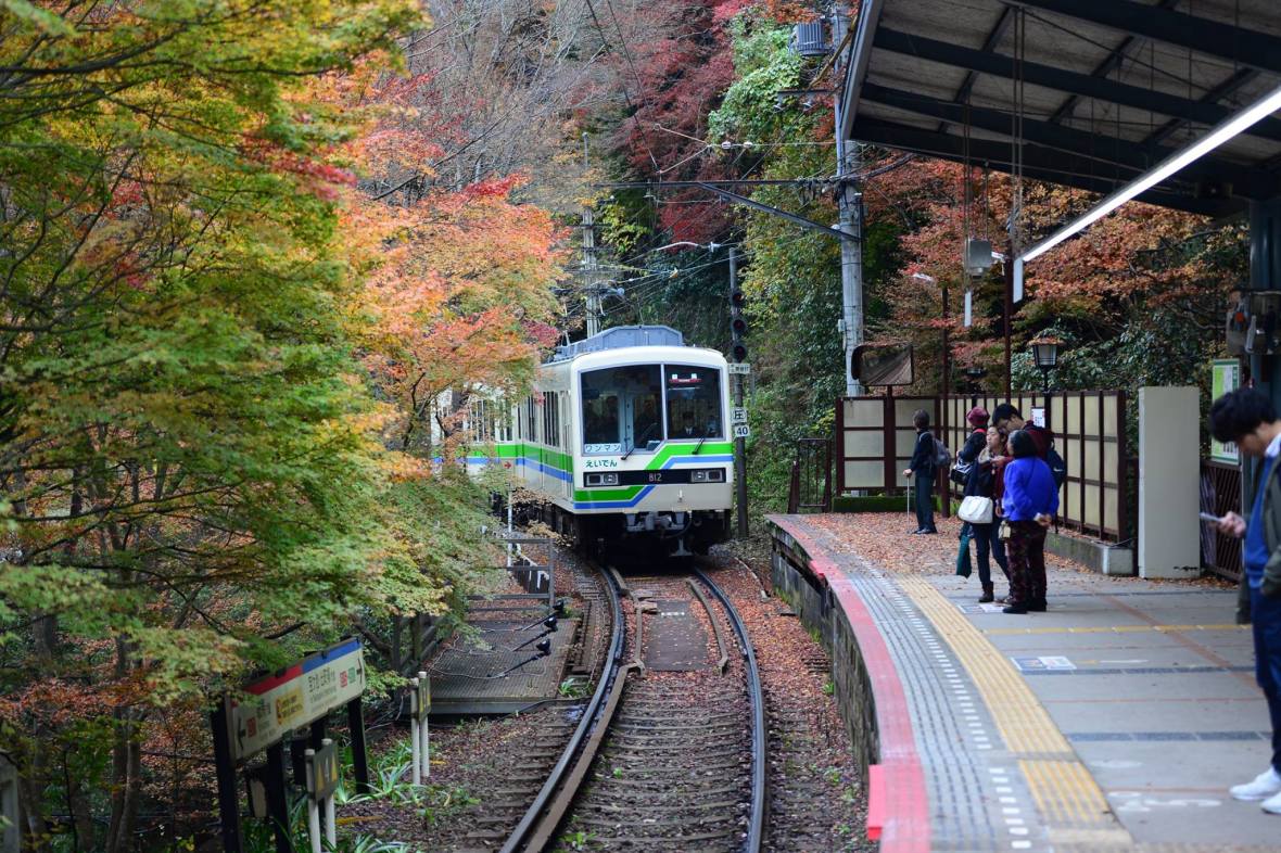 16486834_1734024983593159_9099916089455644308_o