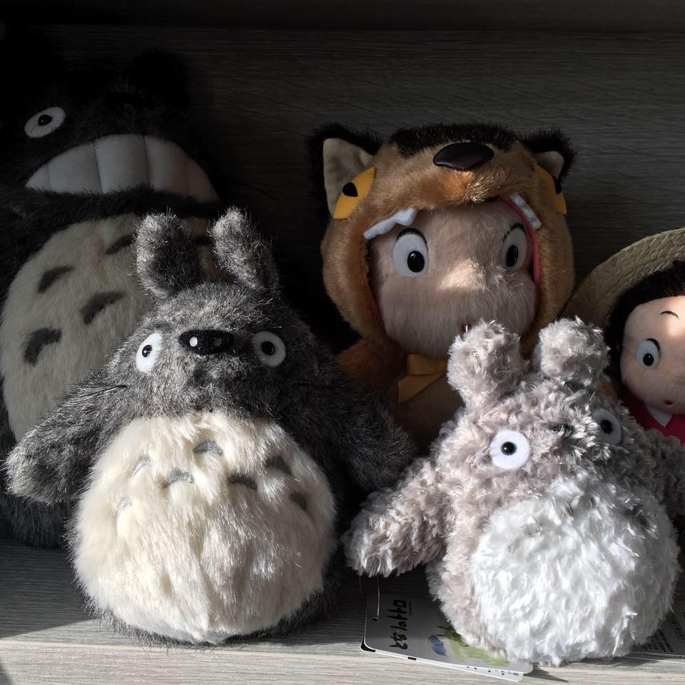 17861956_1286800738104475_6058906627355124180_n