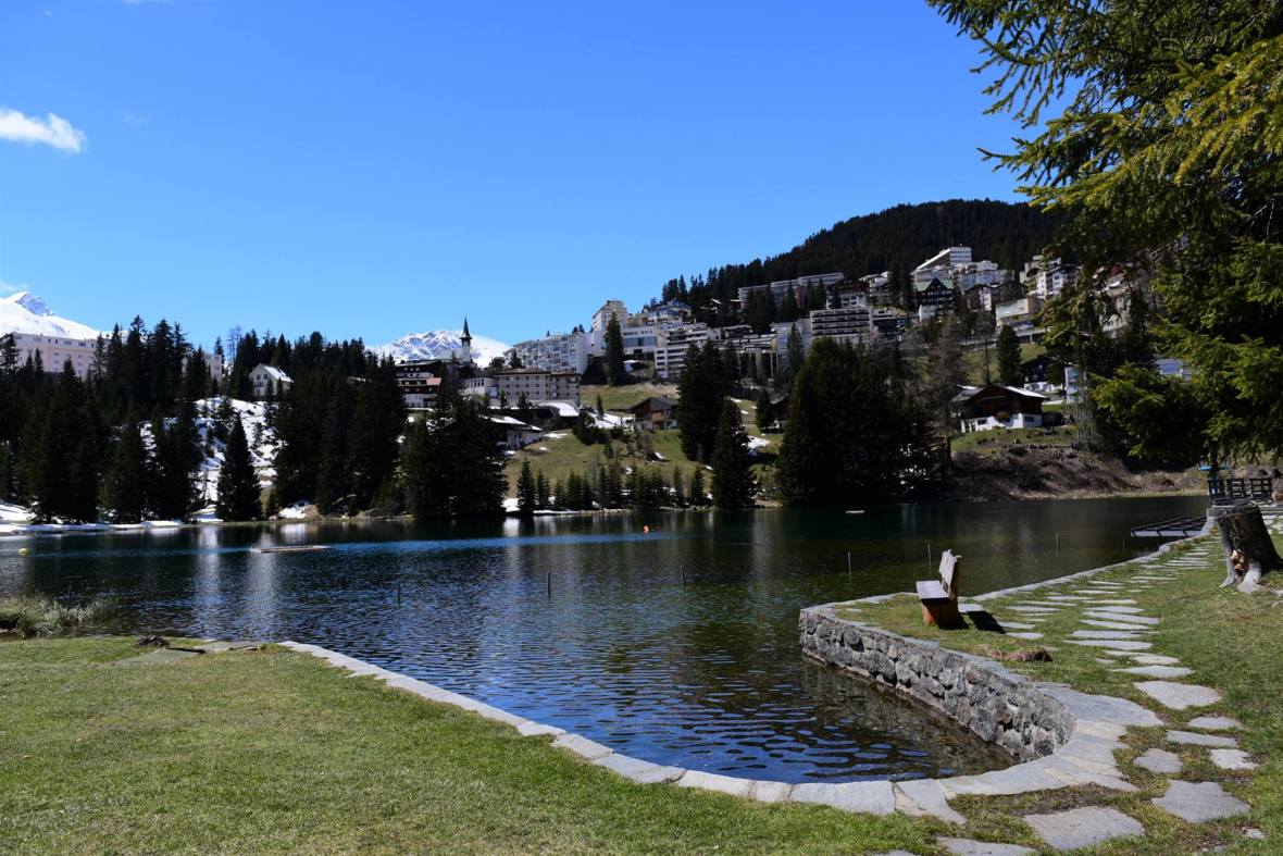 18451575_1790108847984772_4018028642351990302_o